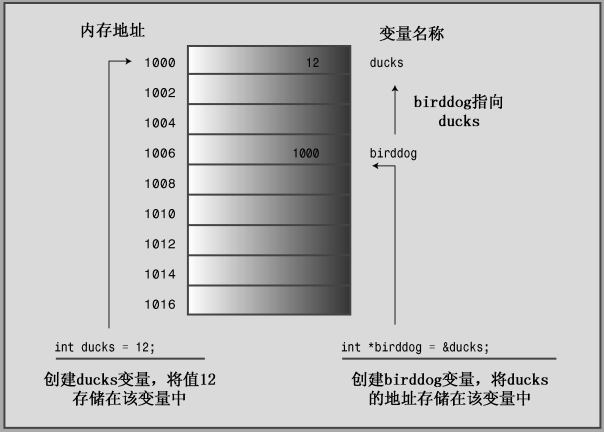 image-20250316160006850